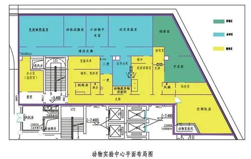 動物實(shí)驗(yàn)室規(guī)范標(biāo)準(zhǔn)與建設(shè)全流程要點(diǎn)解析